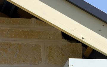soffit repair Thorne Coffin